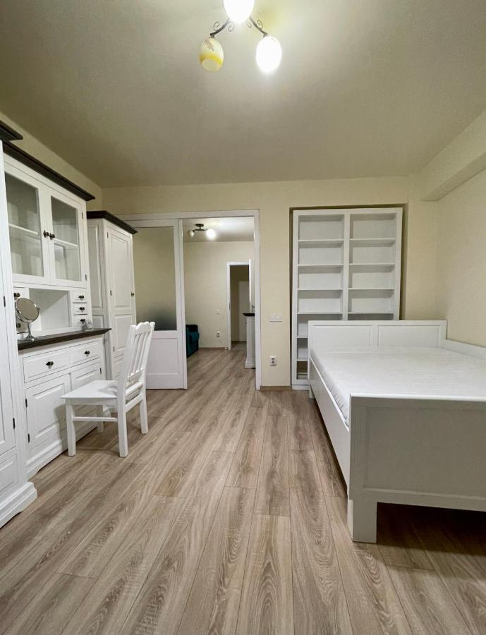 Cozy Central One Bedroom Cluj-Napoca Buitenkant foto